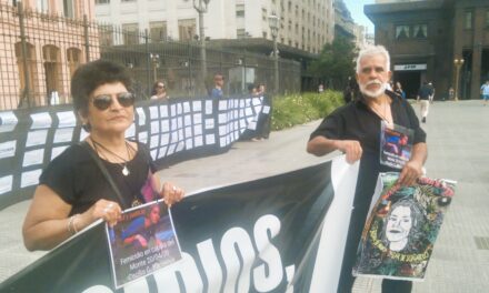 Susana y Daniel Basaldúa: «Vamos por los verdaderos asesinos de Cecilia»