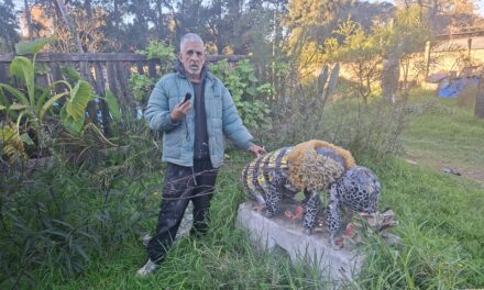Isaac Benaprés: «La abeja es el insecto que nos representa como movimiento»